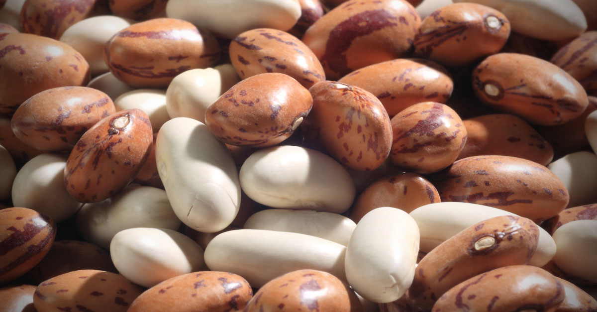 4-beans-and-legumes