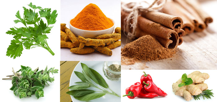 Who Needs Medicines When Herbs Can Heal You Naturally?