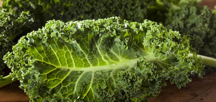 16 Health Facts That Make Kale The King Of Superfoods