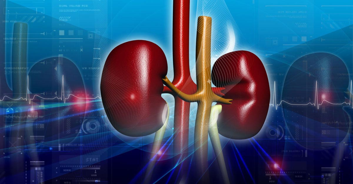 22 Things You Should Avoid To Prevent Kidney Damage.
