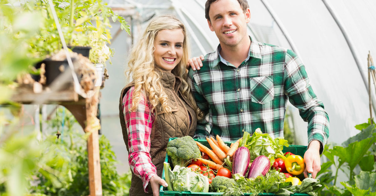 The Best Time To Start Growing Your Own Food....Now!