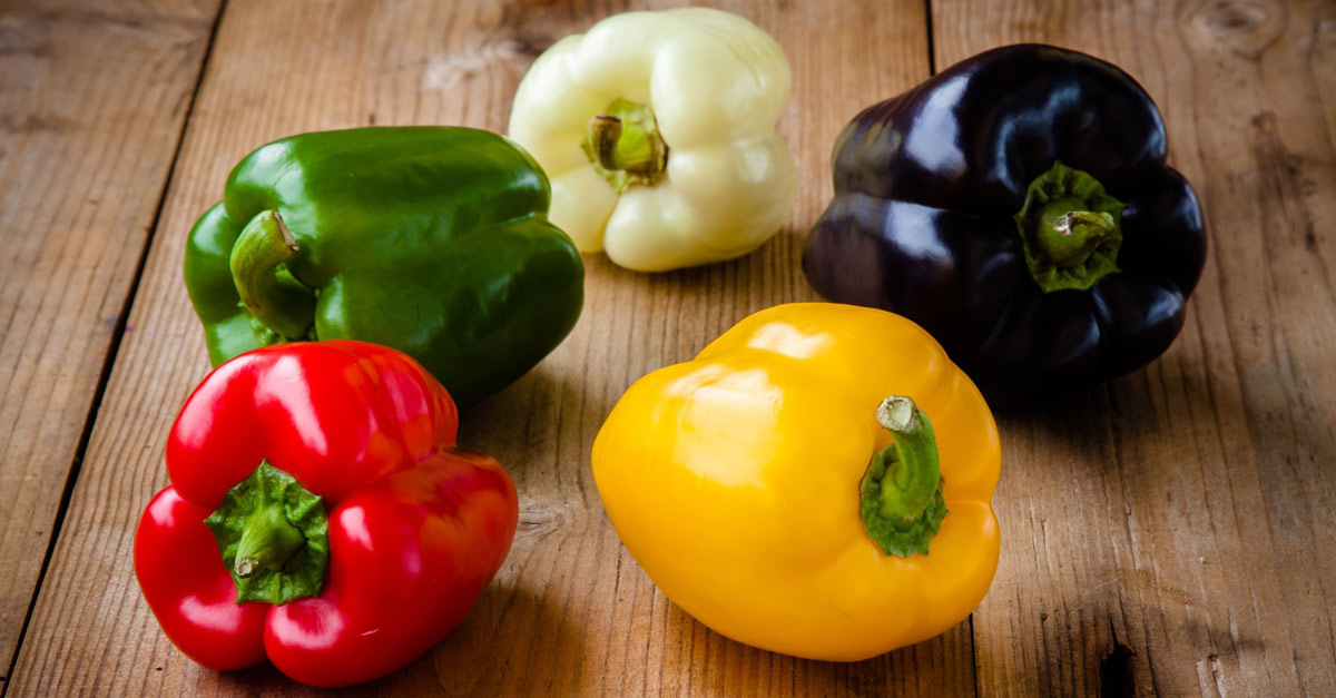 Here Is Why Bell Peppers Are The Best Vegetables
