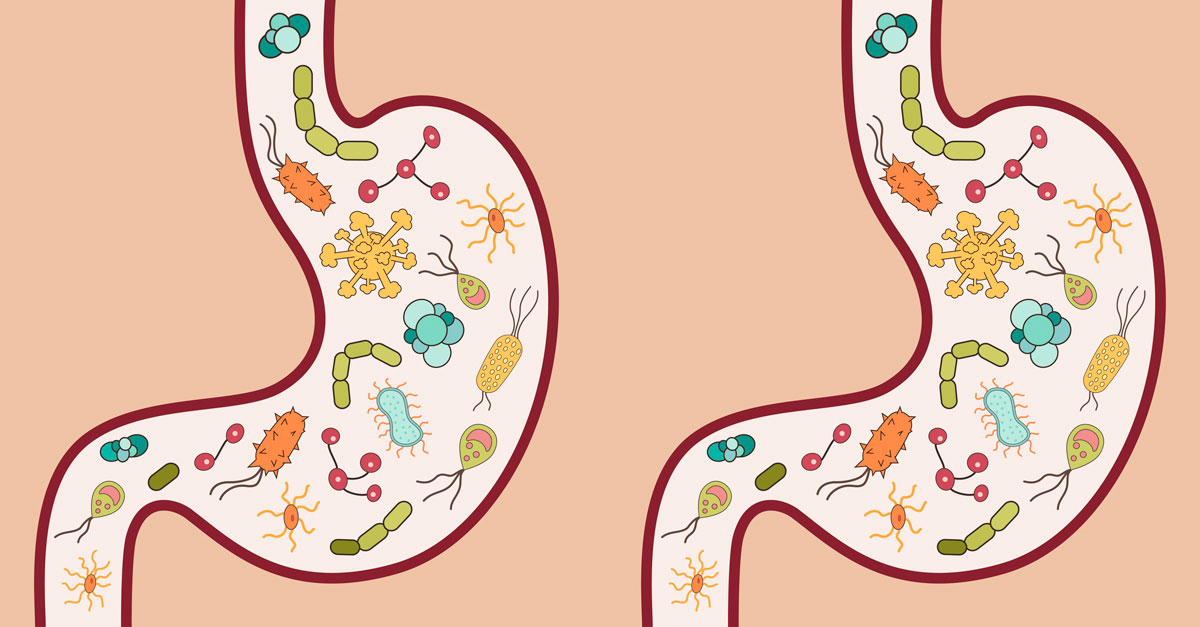 Foods In Your Pantry That Kill Pesky Internal Parasites