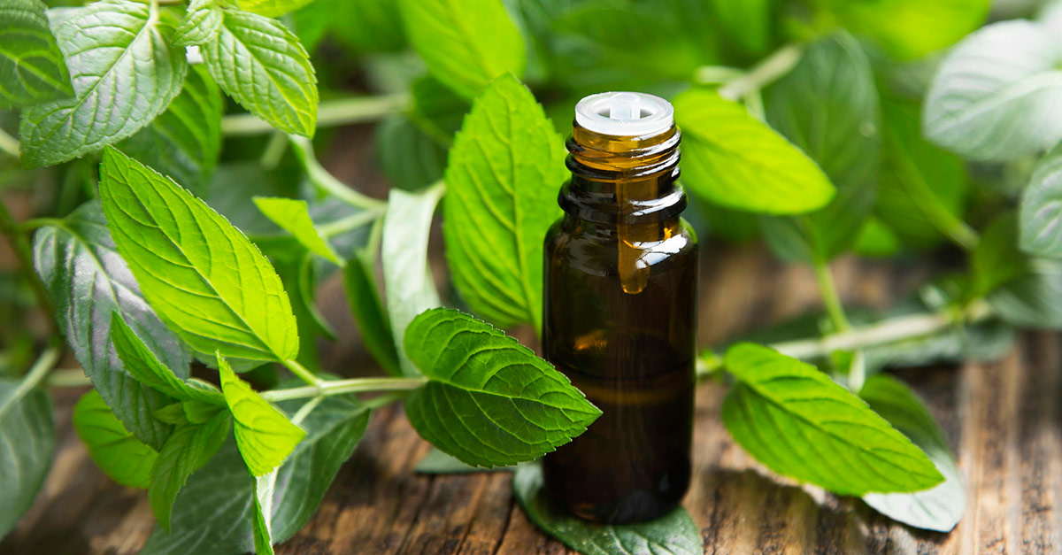 Excellent Essential Oils for an Underactive Thyroid