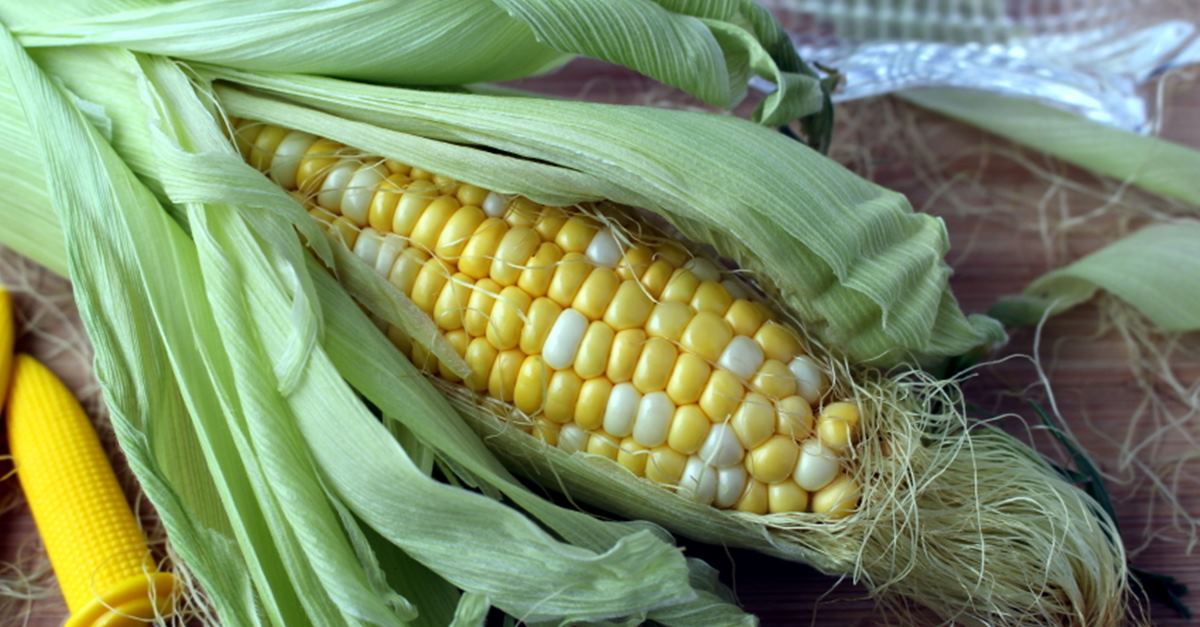 Corn Silk Tea That Treats Urinary Tract Infections