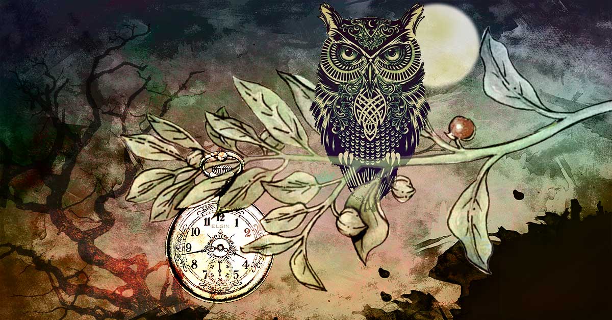 Ashwagandha-For-Insomnia-And-Ideal-Dosage-For-Better-Sleep