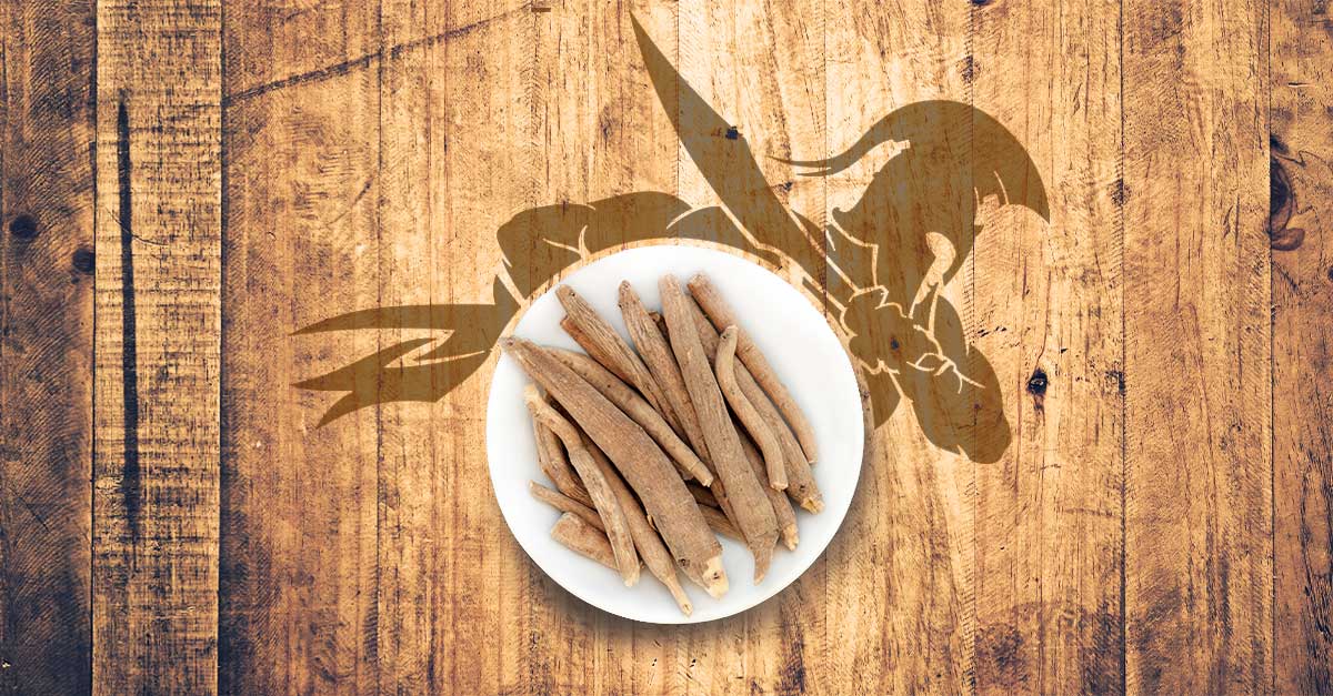 Ashwagandha And Immune System