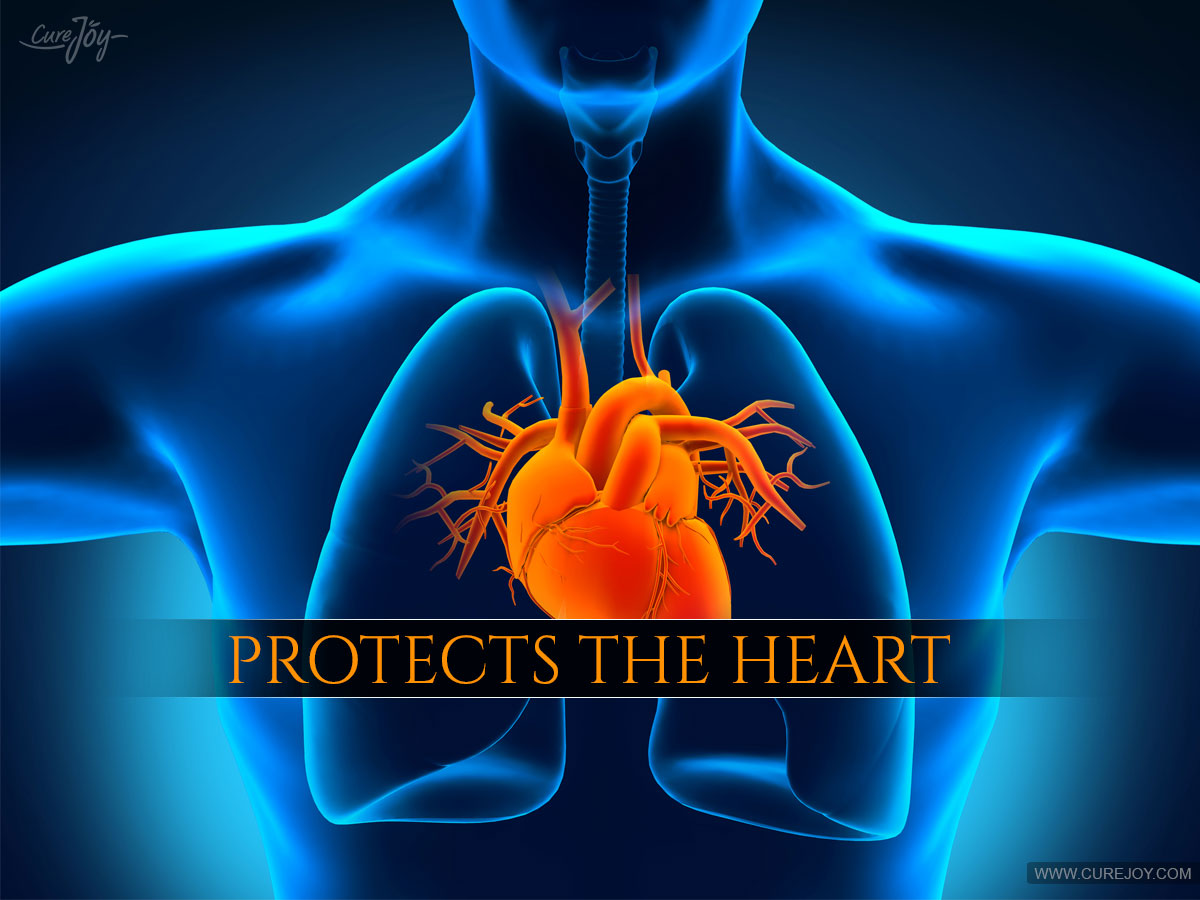 Protects-the-Heart