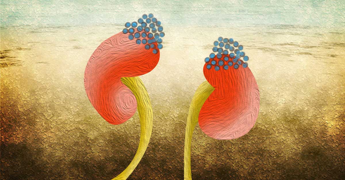 Ashwagandha For Adrenal Hyperplasia