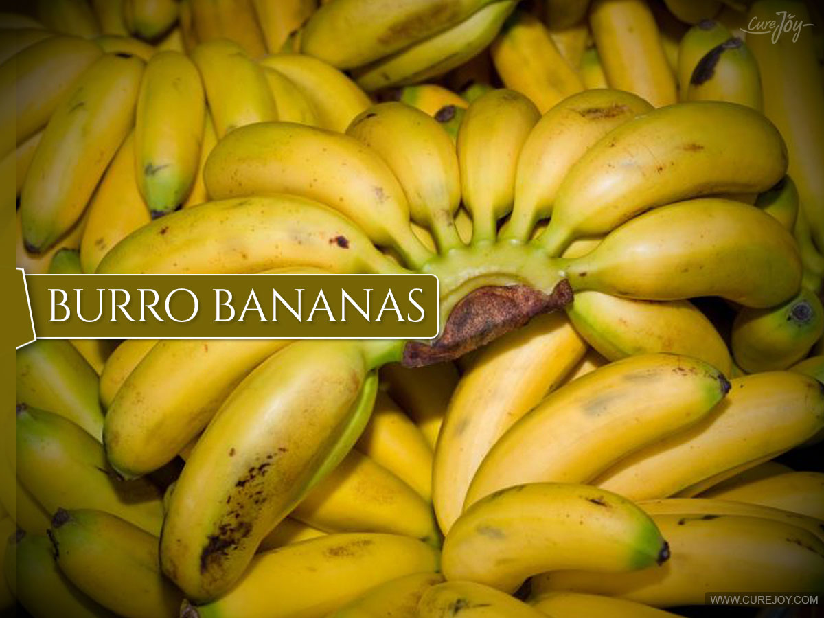 Burro-Bananas