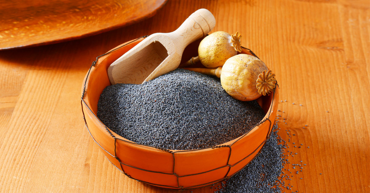 an Poppy Seeds Cure Your Insomnia