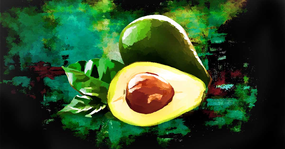 Avocado Nutrition