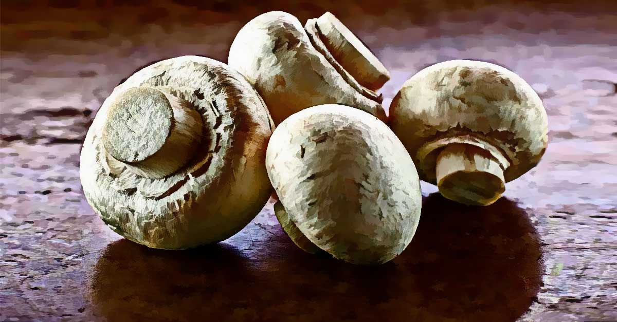 Vitamin B12 sources for Vegans