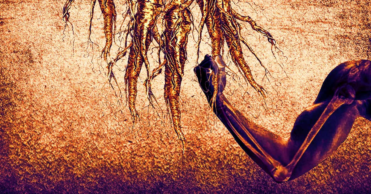 Ashwagandha For Bone Health