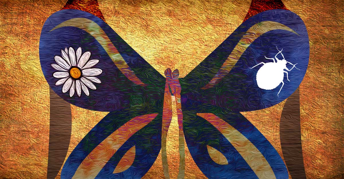 breast-cancer-myths-and-facts/