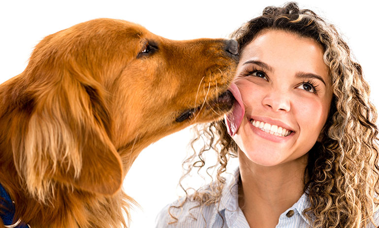 dogs communicate with us by licking
