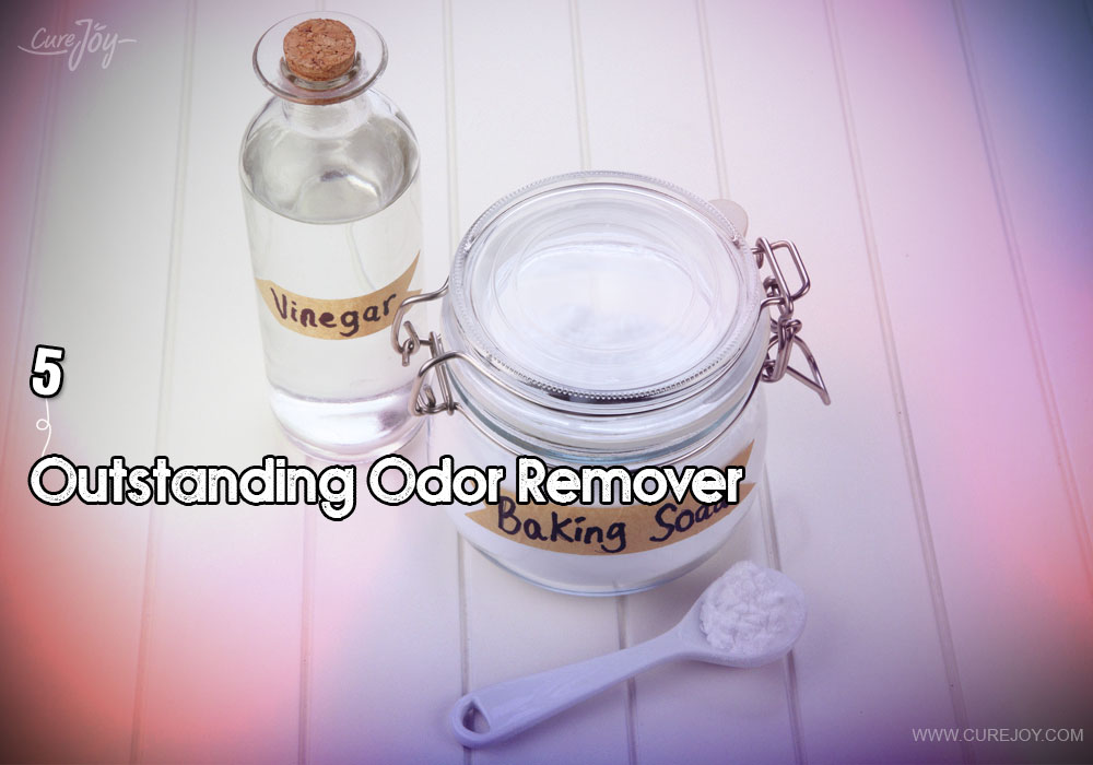5-outstanding-odor-remover