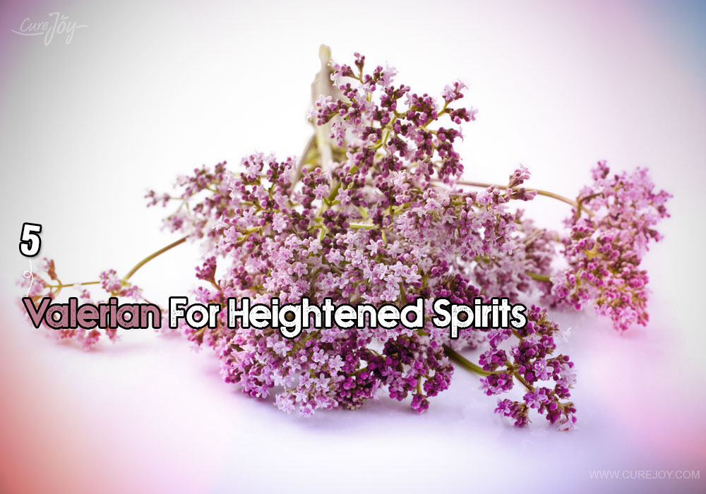 5-valerian-for-heightened-spirits