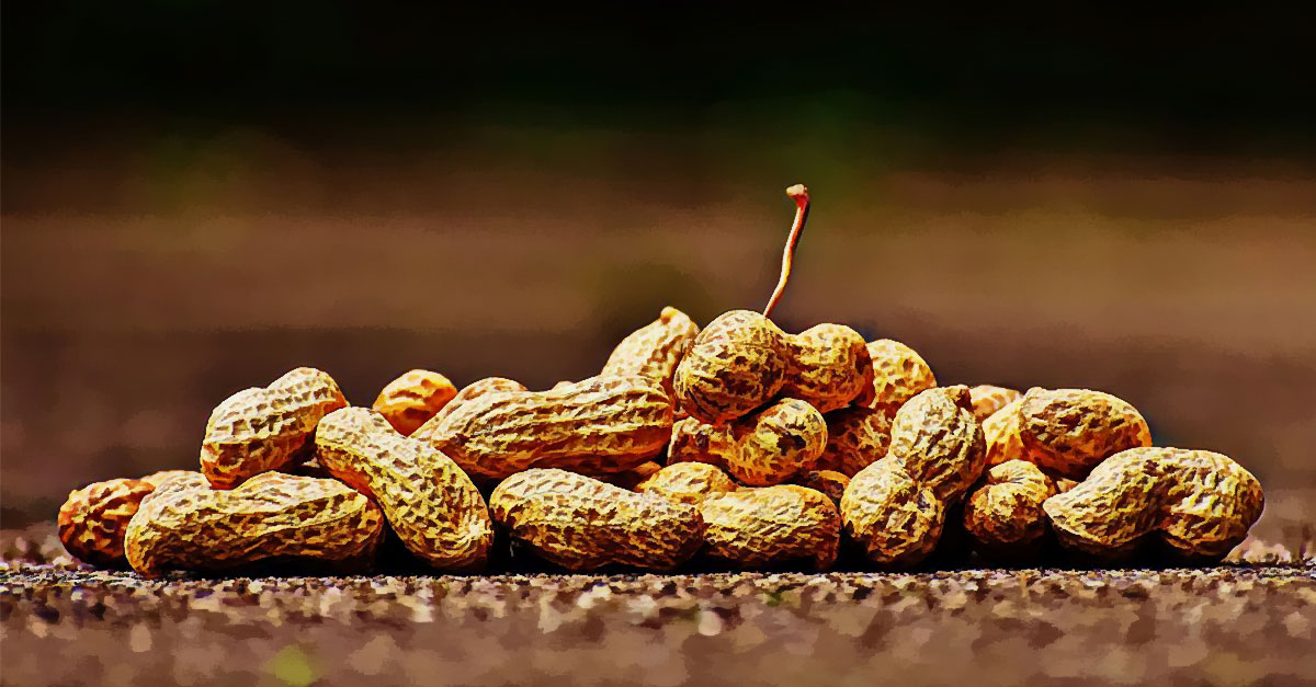 foods-good-for-gallbladder