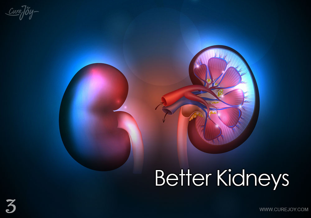 3-better-kidneys