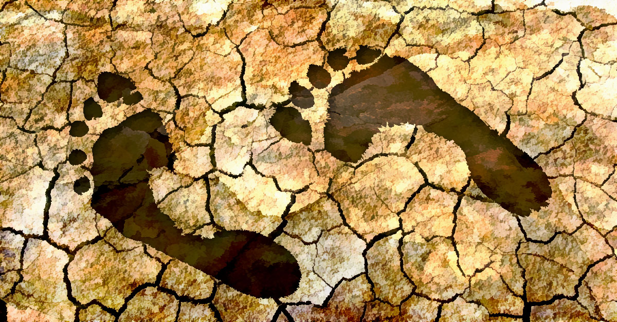 Home Remedies For Dry Feet