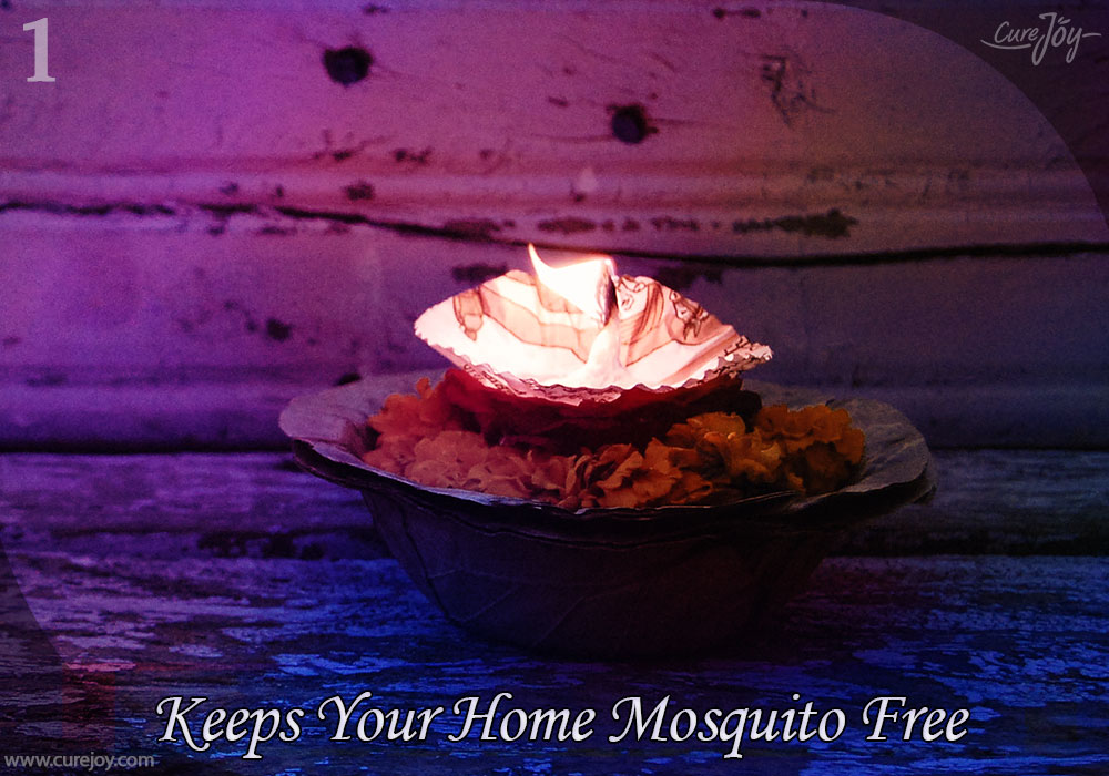 1-keeps-your-home-mosquito-free