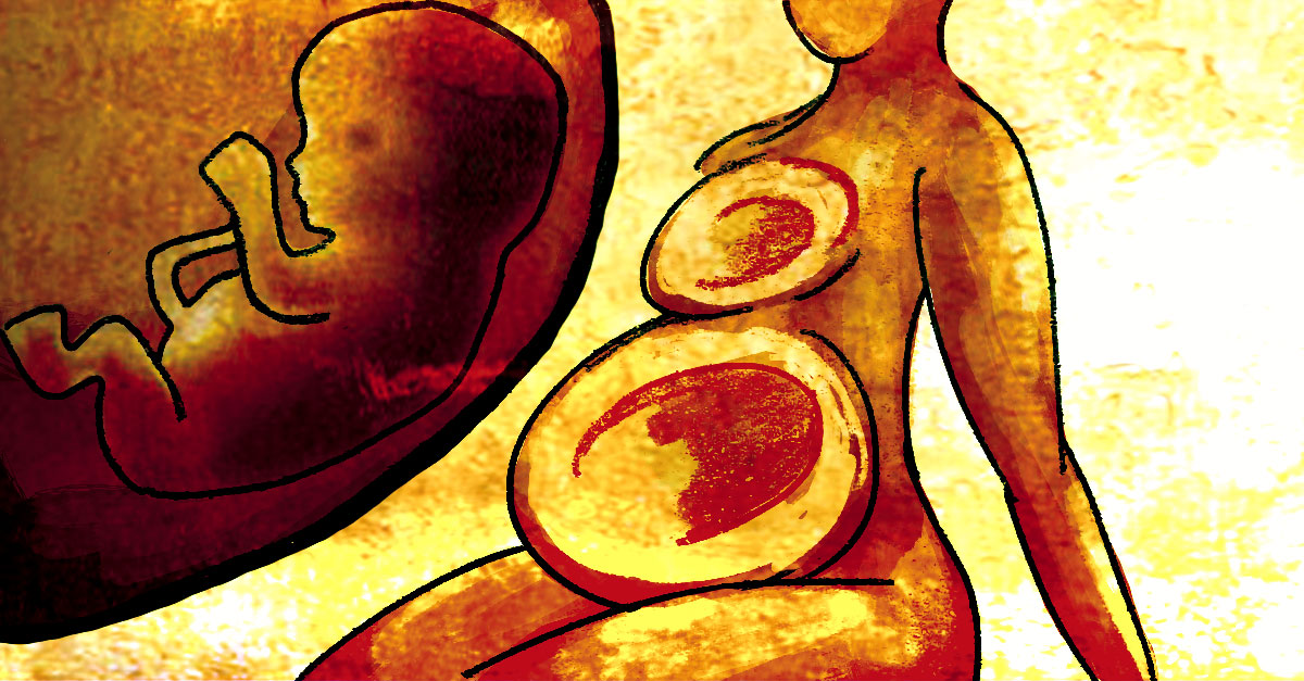 pregnancy at eight weeks