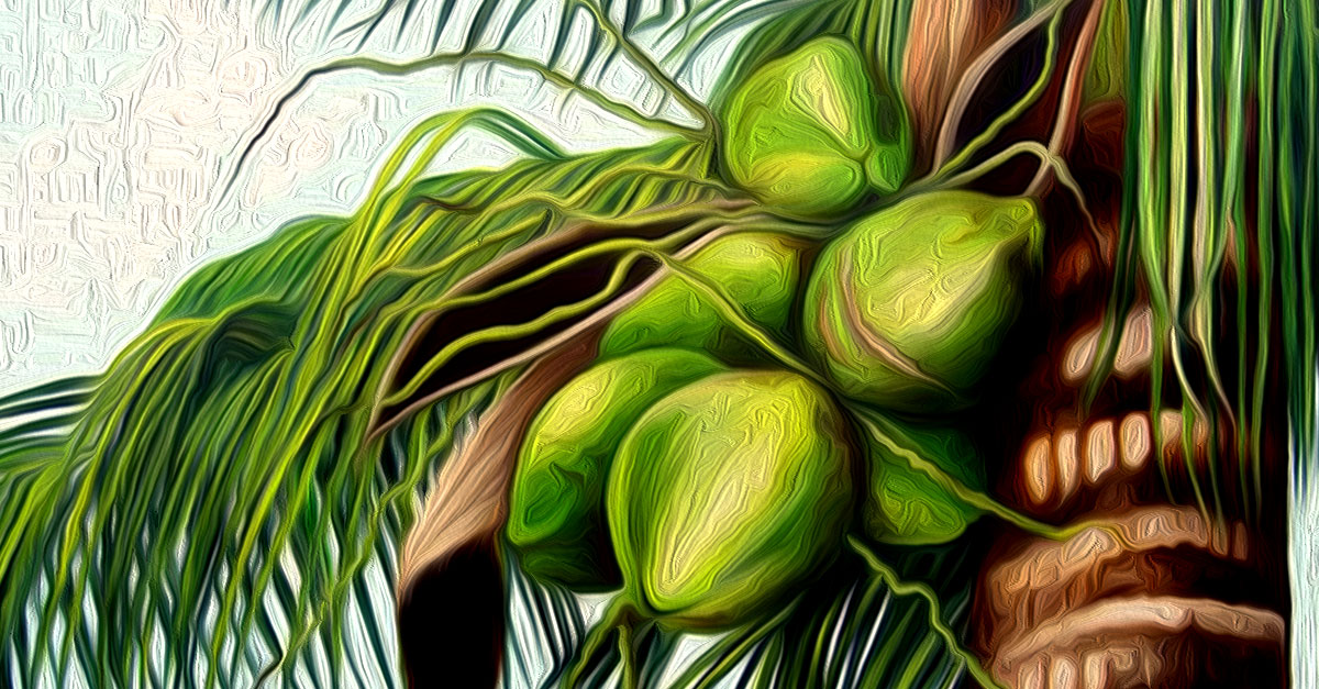 health benefits of coconut water