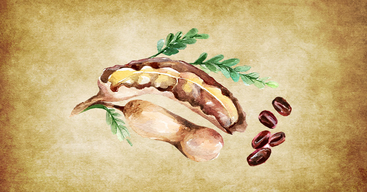 10 Health Benefits Of Tamarind Fruit, Juice, And Seeds