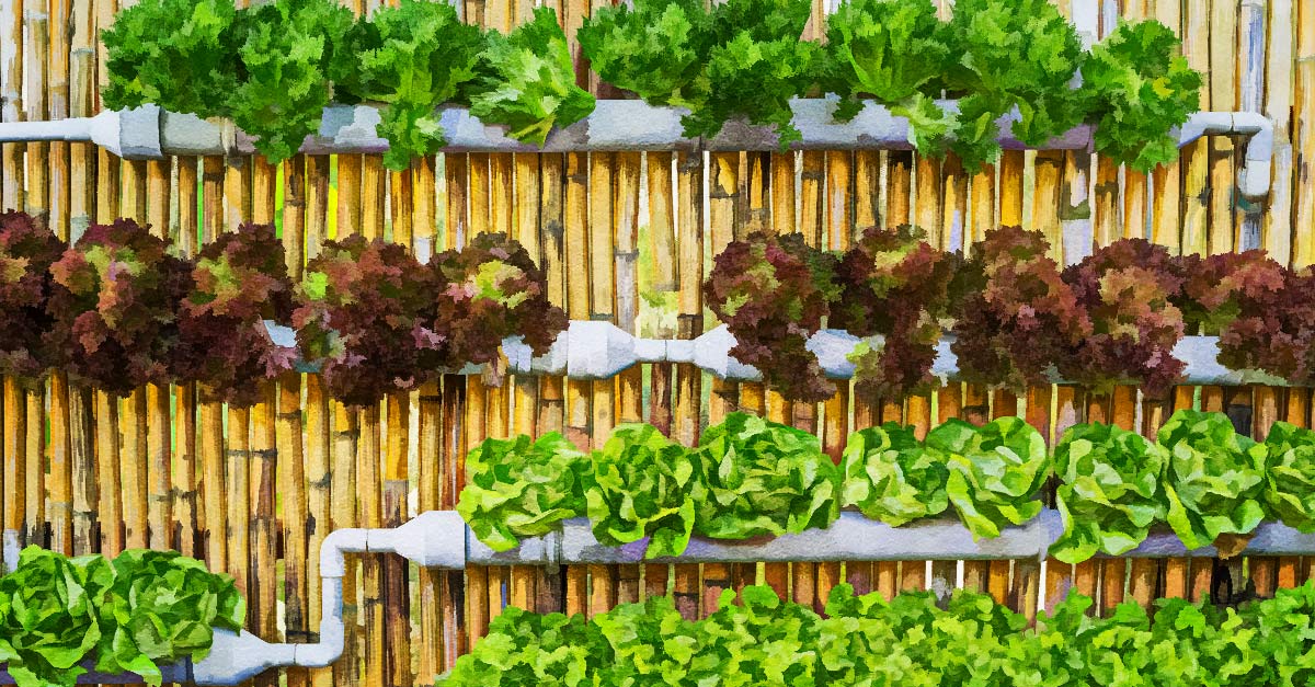 Most Suitable Plants For Vertical Garden