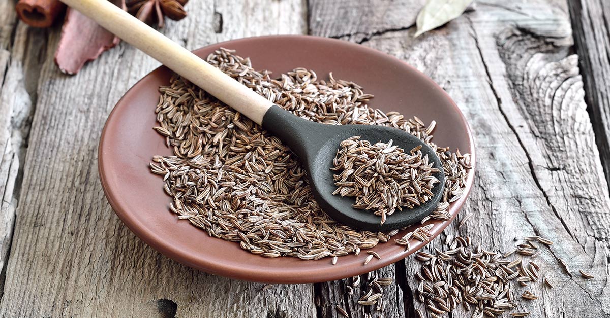 All about cumin and its health benefits to you.