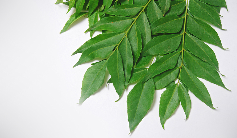 Curry leaves are nutritious and stimulate the growth of hair follicles, thus helping treat alopecia areata.