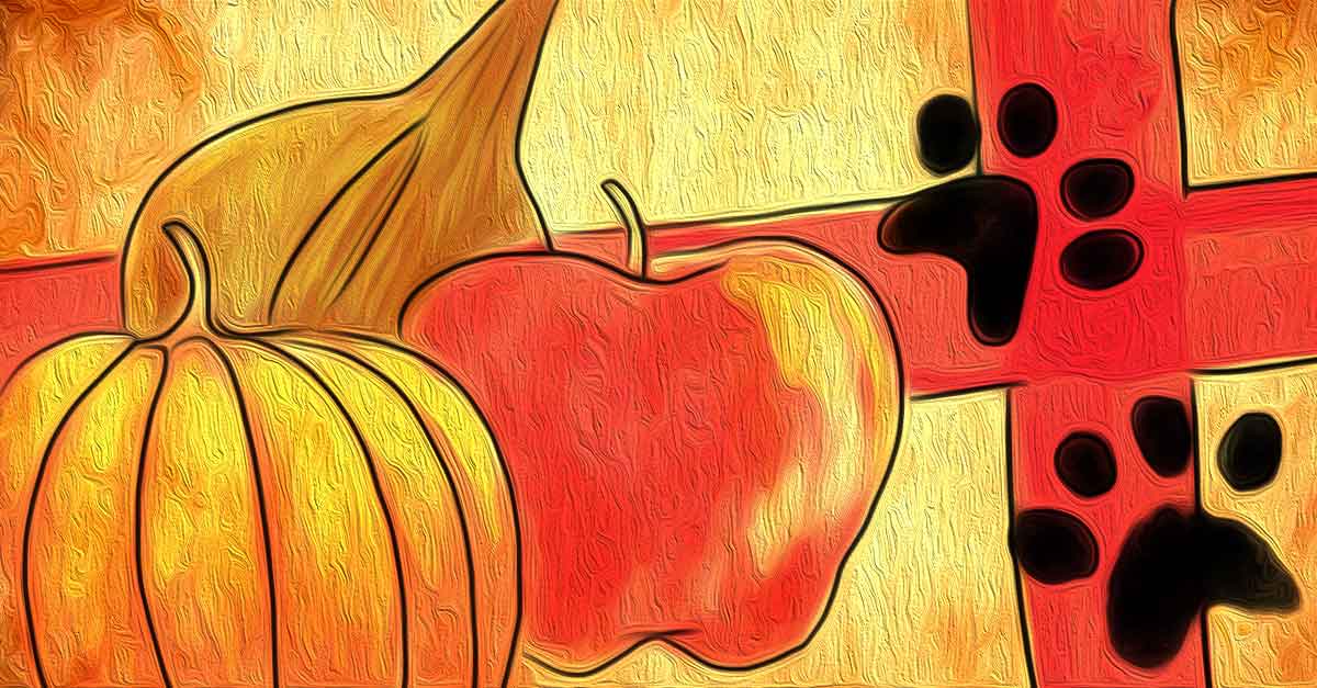 Home Remedies For Minor Dog Emergencies