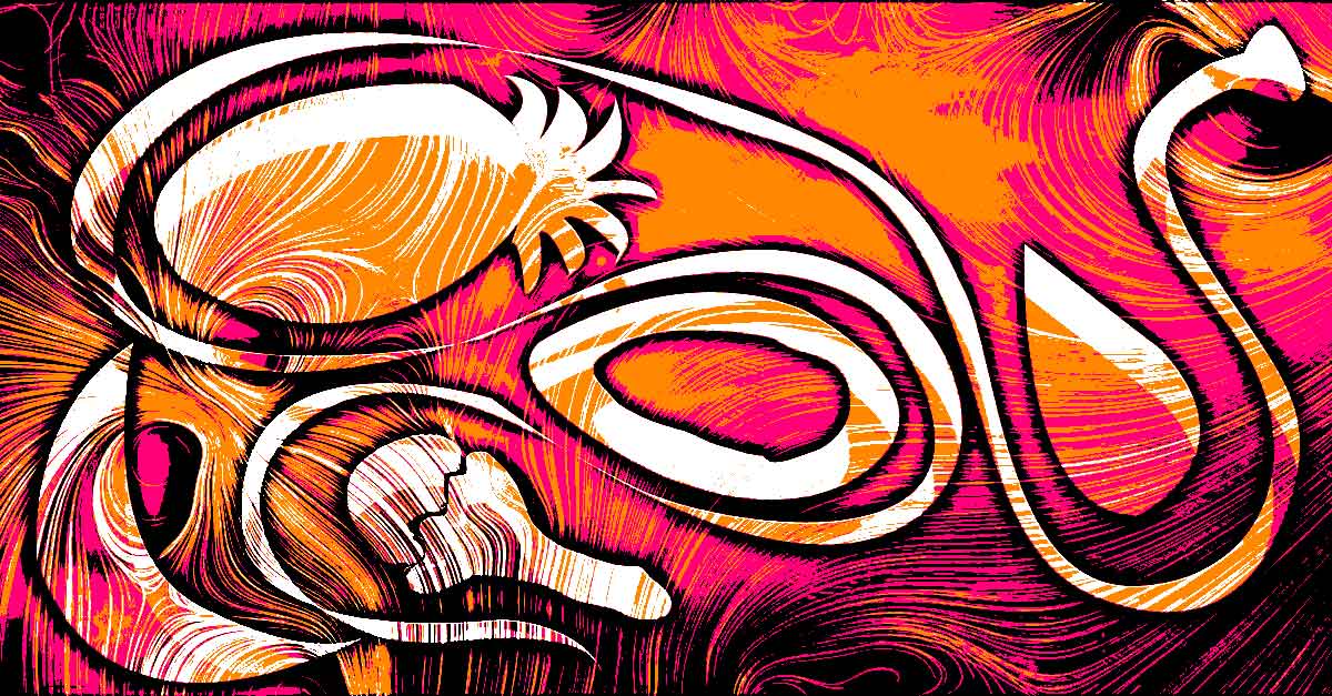 Home Remedies To Treat Tapeworms In Humans