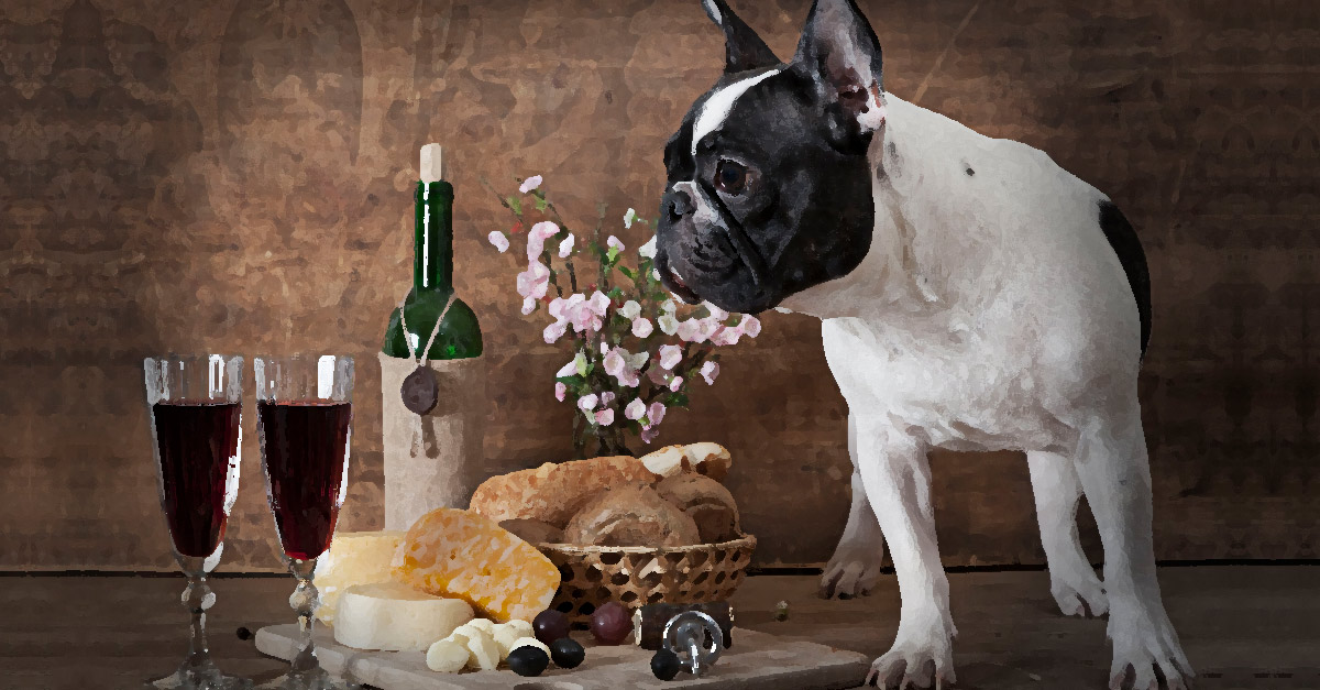 These common human foods are toxic to our pets