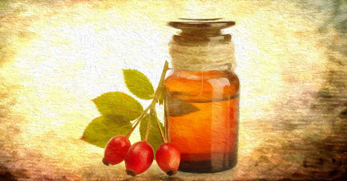 benefits of rosehip oil