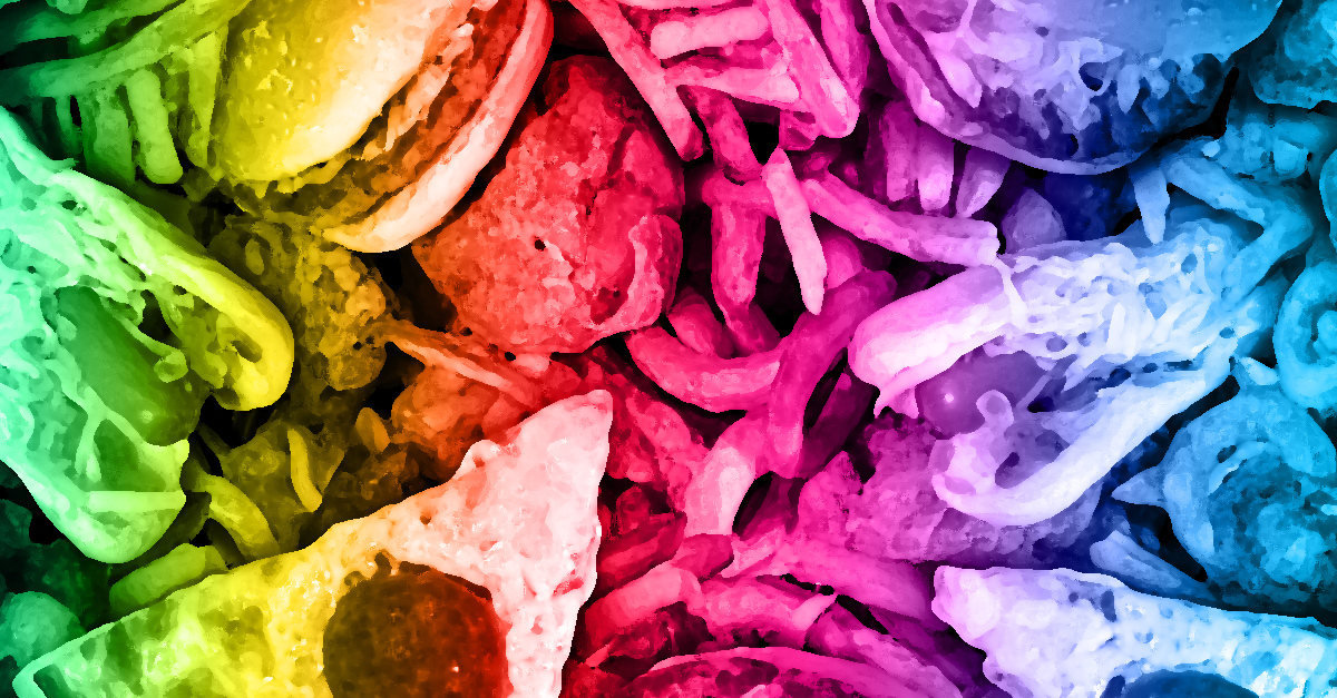 7 Food Toxins That We Consume Way Too Regularly