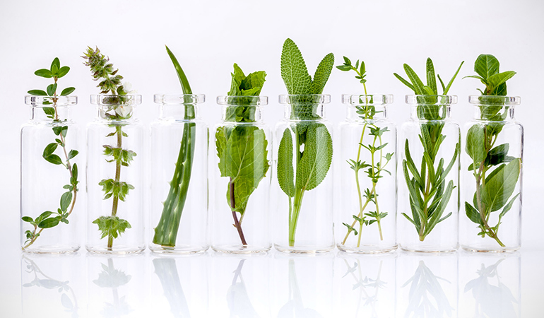 Herbs such as thyme, hyssop, mint, elder flower and others are used to prepare an enema solution