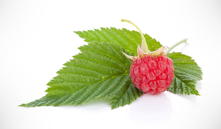 Raspberry leaf tea enema helps cleanse the colon