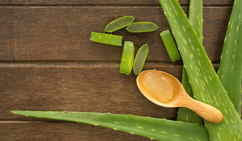 Aloe-vera both soothes and reduces pigmentation in skin