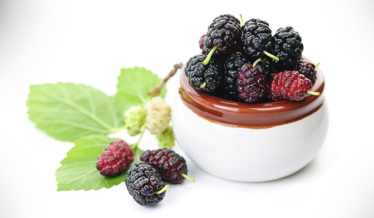 Mulberry extract inhibits skin darkening and melanin production