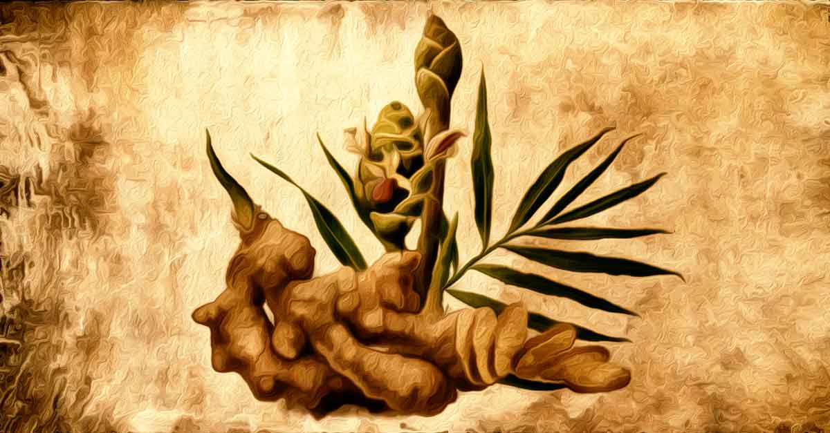 overall health benefits of ginger