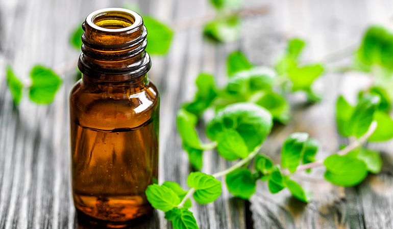 Peppermint oil is a popular insect repellant and repels mice as well.