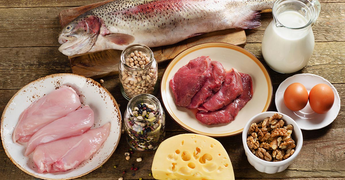 best sources of protein