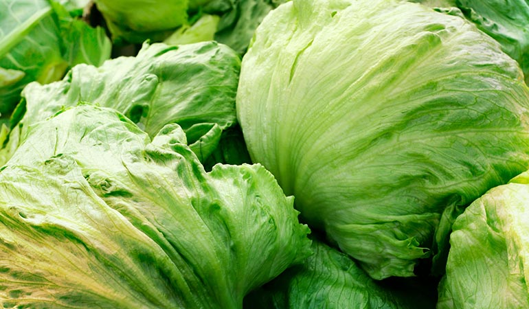 Lettuce has similar effects to opium