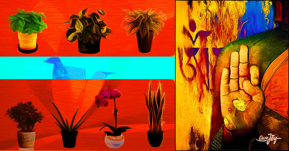 Plants help harmonize and balance the atmosphere in feng shui