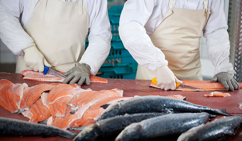 Farm-raised salmon could be toxic.