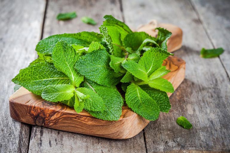 Mint is an ideal herb for gas or constipation