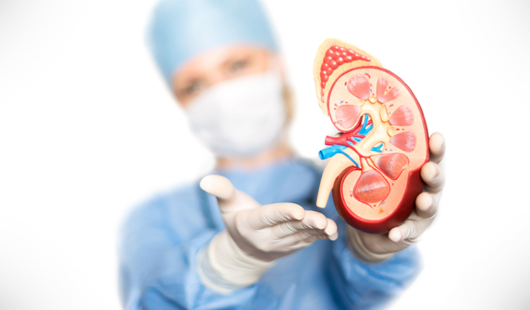Extreme vitamin D toxicity can cause kidney failure.