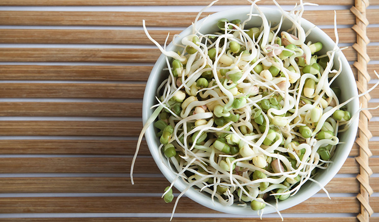 100 grams of sprouts has 3.4 grams of protein.